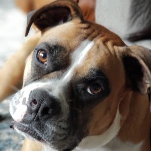 Meet your Posher, Heather